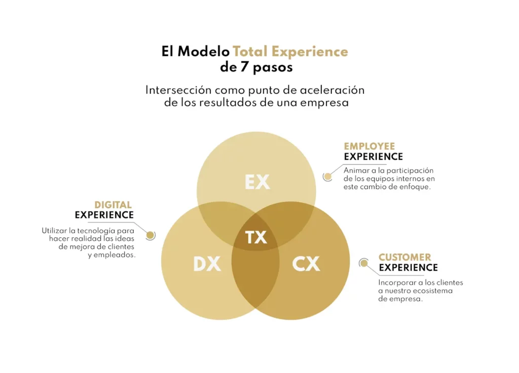 modelo experiencia total TX